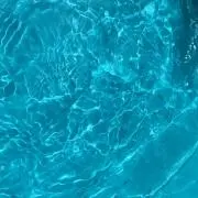 ちゃぴの画像