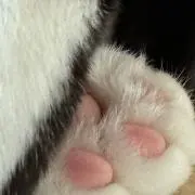 otbの画像
