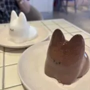 みみの画像