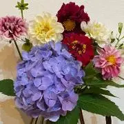 花✿花の画像