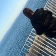 まの画像