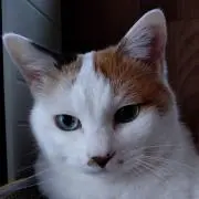 ロイママの画像