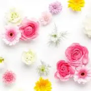 msshop☆クリアランスセール❣️❣️の画像