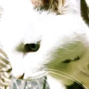 あっきの画像