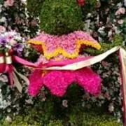 Noripの画像