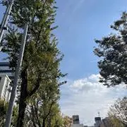 ウィングの画像