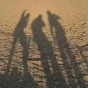 REXの画像