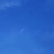 夏/値下げコメント可の画像