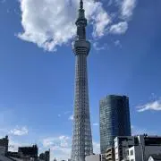 ぽちゃーズの画像