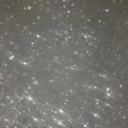 タルイの画像