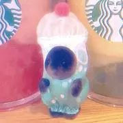 めろんの画像