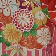 ちゃの画像