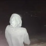 Shu
