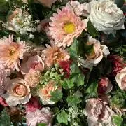 あんこの画像