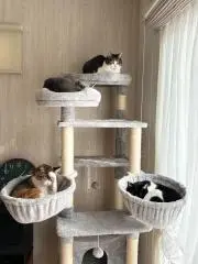 みぃ