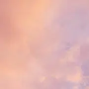 yamの画像