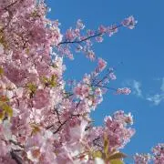 kakawetの画像