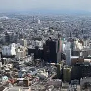 紫陽花の画像