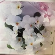 Sママ