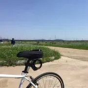 H Fujiの画像