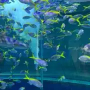 断捨離中☆即購入OKの画像