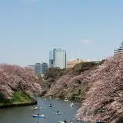 チビちゃん