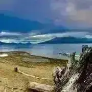 龍康の画像