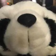 まるむ