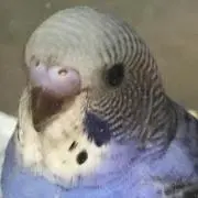 まるまるの画像