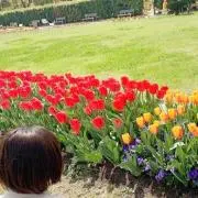 Yn [プロフィール必読]の画像