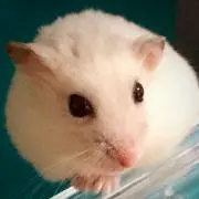 はむはむ