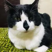 r.r