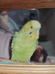 Junの画像