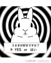 puramuの画像