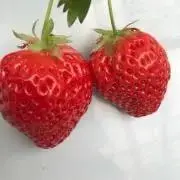 nyaoにゃお♡の画像
