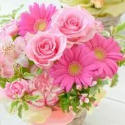 M♡J＊大幅値下げ不可(－×－)の画像