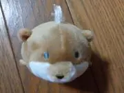 ひまわり