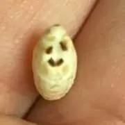 mの画像