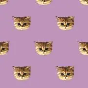 パウエル