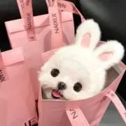 ♡の画像