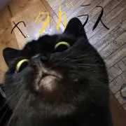 まーぼー