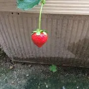 たーくんまーみん