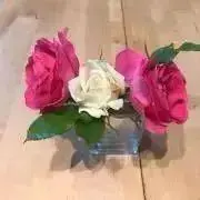 こまき☆値下げ6日の画像