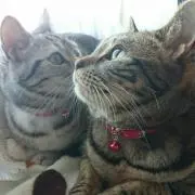 ＊ノエル＊