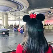 かぼちゃの画像