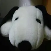 かりちゃん
