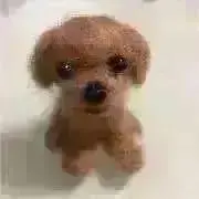 ちゃんぷー❣️交渉OK金額コメントしてねの画像