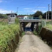 shutaの画像
