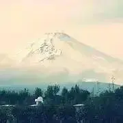 MOKの画像