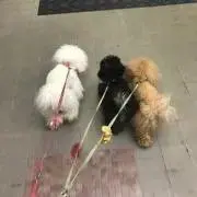 あいの画像